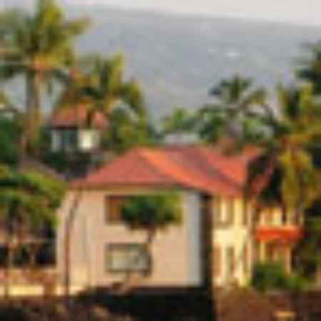 Pizzeria Reggio Campi